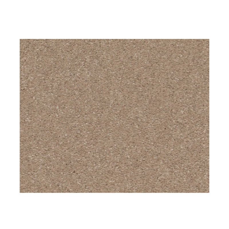 Bonny Doon Raw Lumber Polyester Carpet - Textured