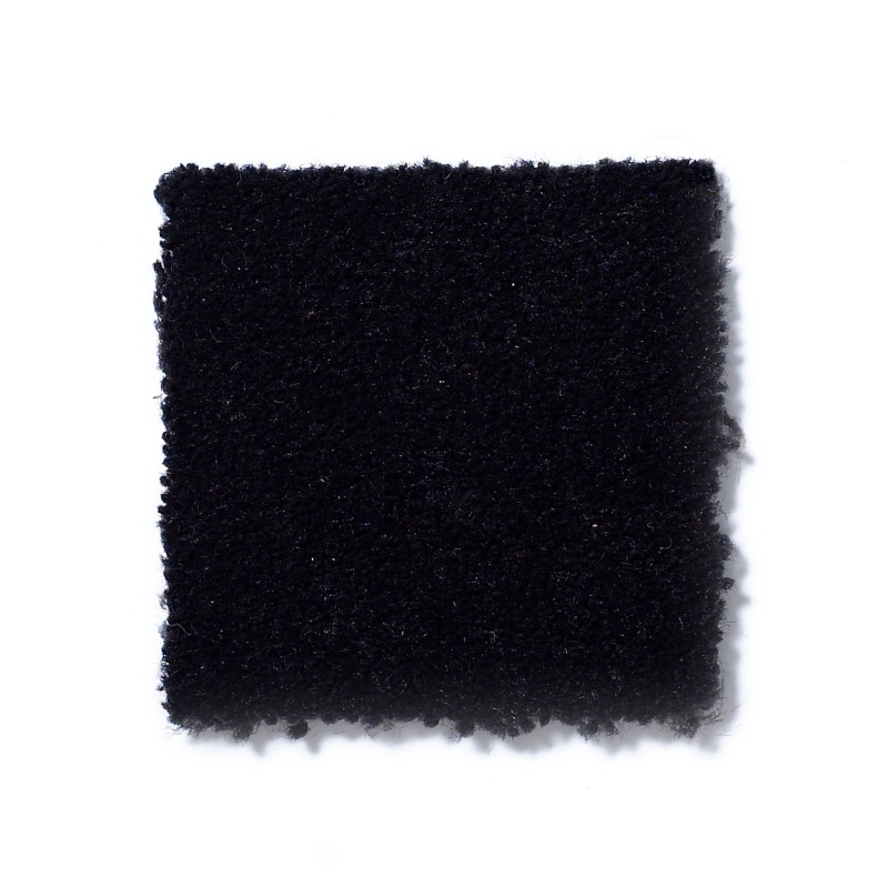 Emphatic Ii 36 Locomotive Nylon Carpet - Textured