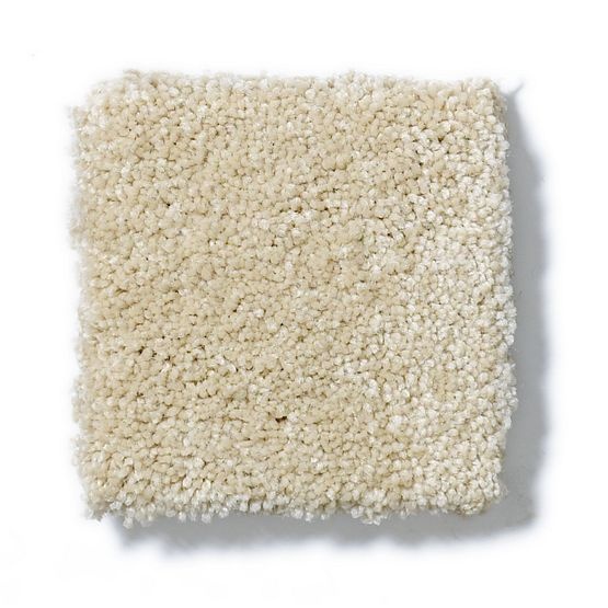 Pet Perfect Pawparazzi II Hazelnut Nylon Carpet