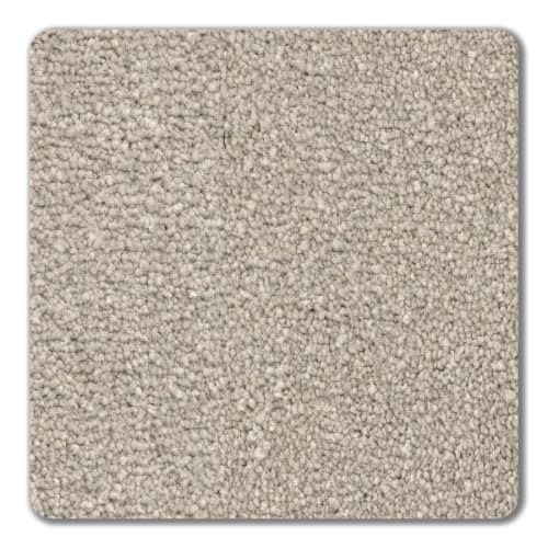 Denali Rocky Shore Polyester Carpet - Textured