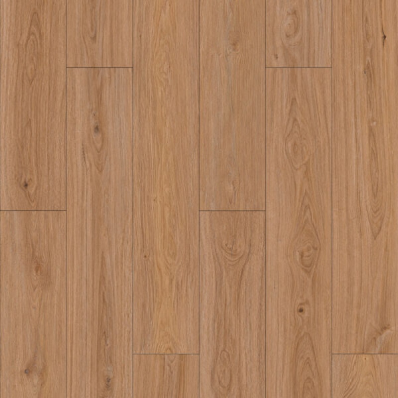 Revive Woodward Oak Laminate Wood Plank Flooring - Embossed - 9" X 60"