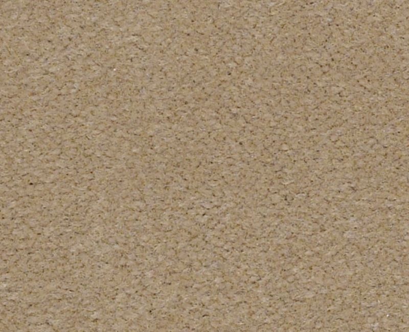 Emphatic II 30 Beige Textured Nylon Carpet