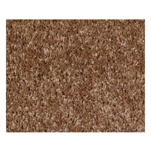 Silver Strand Ridgecrest Nylon Carpet - Textured