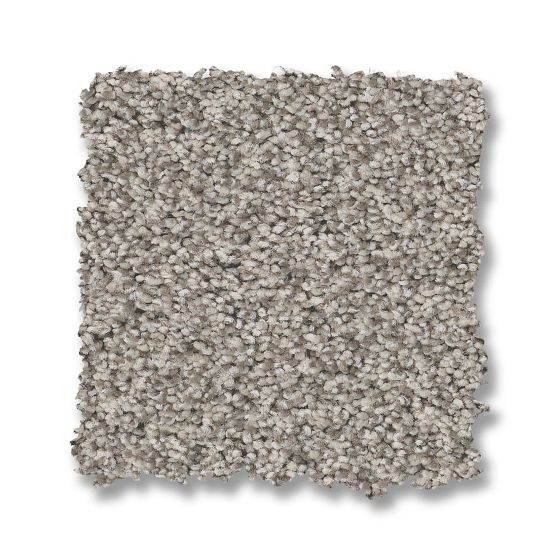 Fabulous Moth Gray Nylon Carpet - Textured