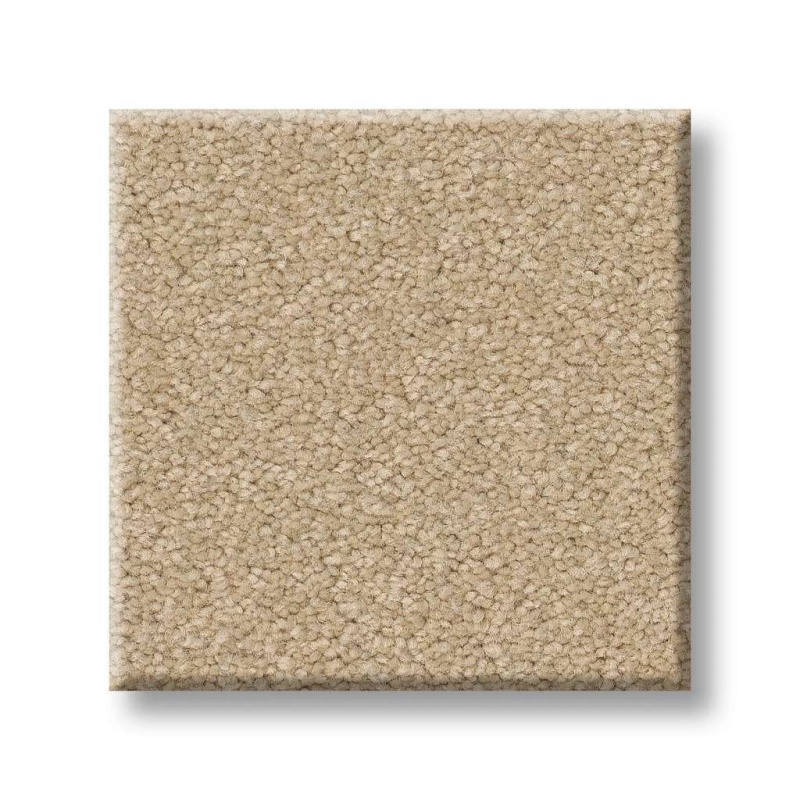 Magic At Last Iv 12 Cameo Nylon Carpet - Textured