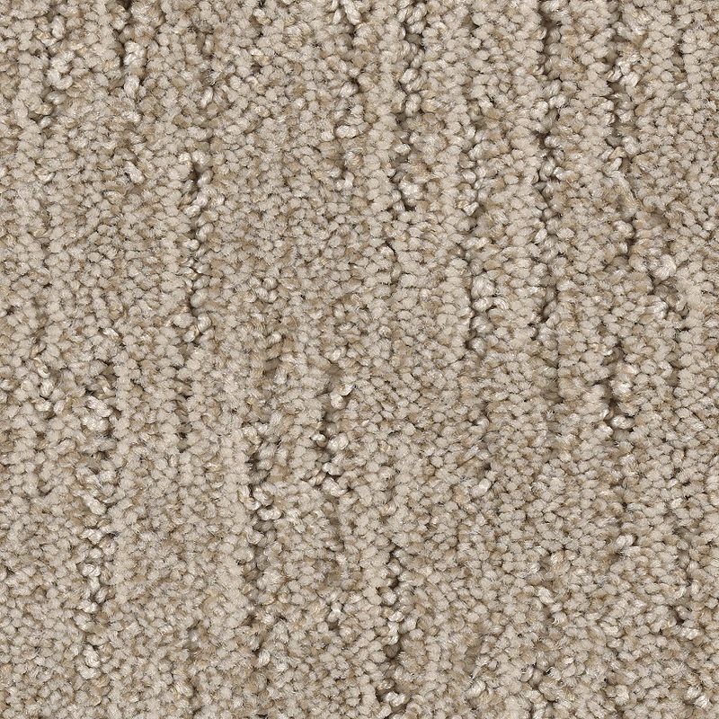 Sculptured Touch Tawny Birch Polyester Carpet