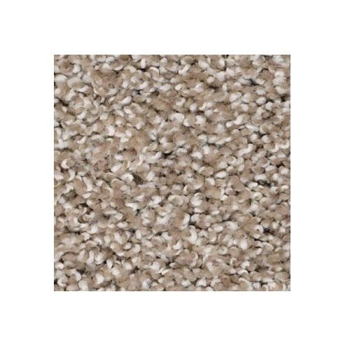 Adam's Pride (T) Sandstone Nylon Carpet - Textured