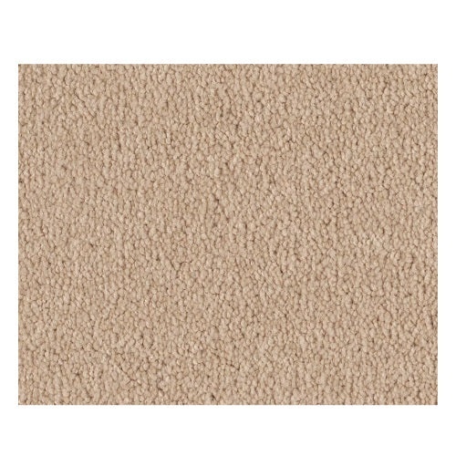 Qs157 12' Almond Flake Nylon Carpet - Textured