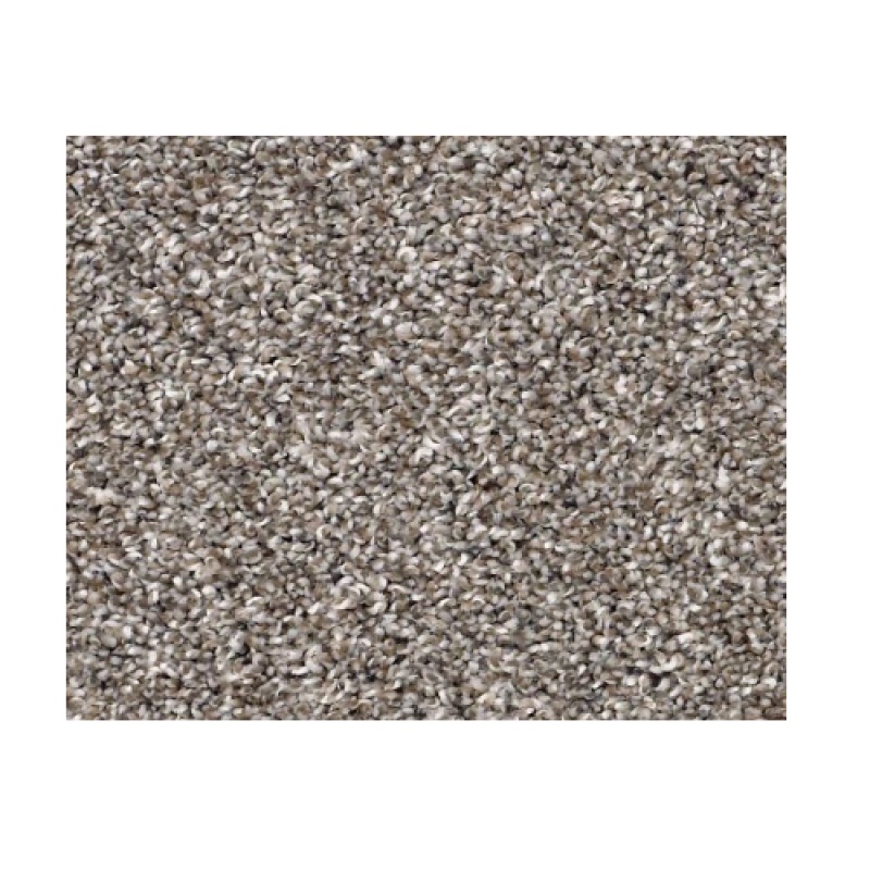 Captured I Tree House Polyester Carpet - Textured