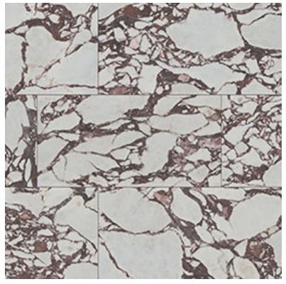 Exotika Violetta Porcelain Tile - Polished - 24" x 48"