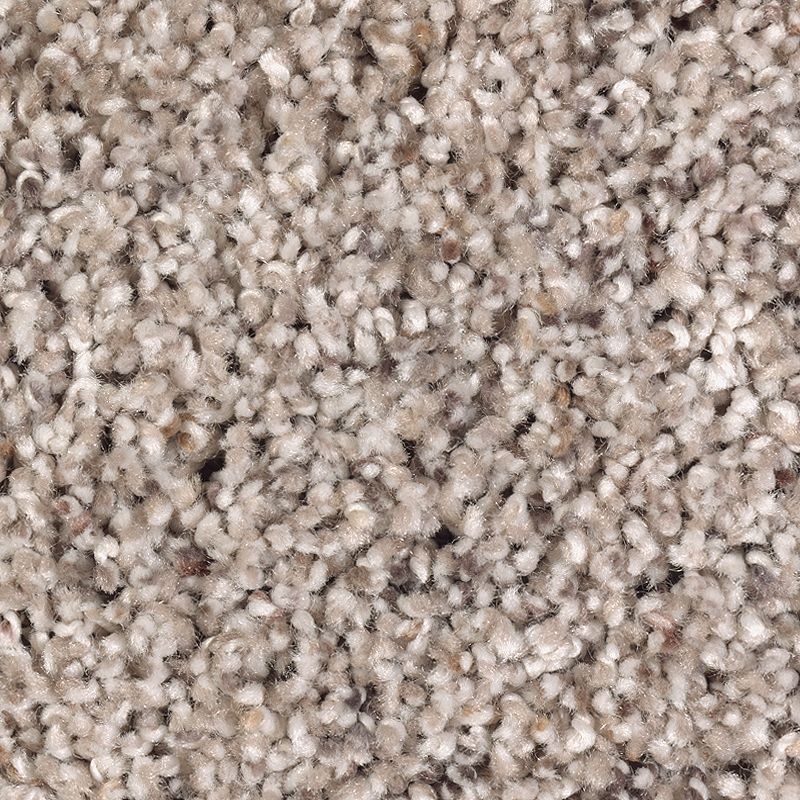 Fantastic Fabric Sierra Polyester Carpet - Textured