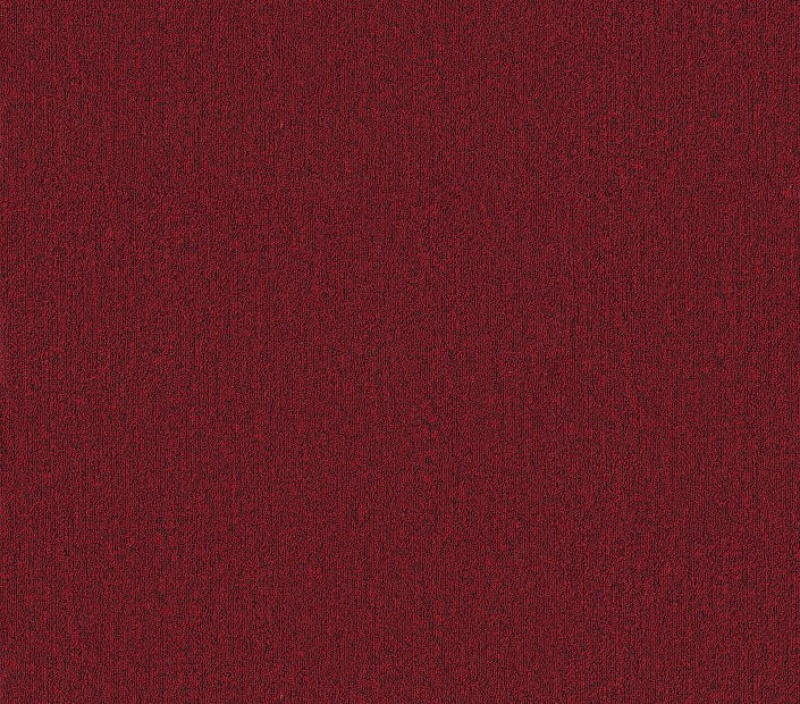 Profusion 26 Thrive Polyester Carpet - Textured