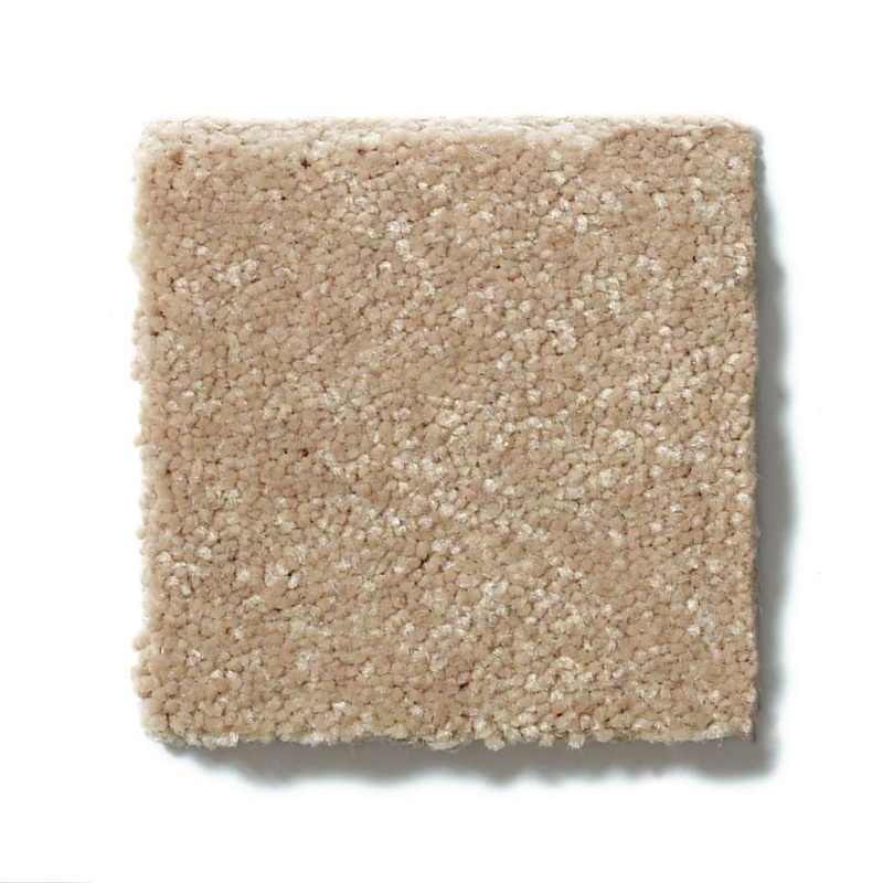 Shaw Floor Studio Home News Iii 12' Golden Lab Polyester Carpet - Textured