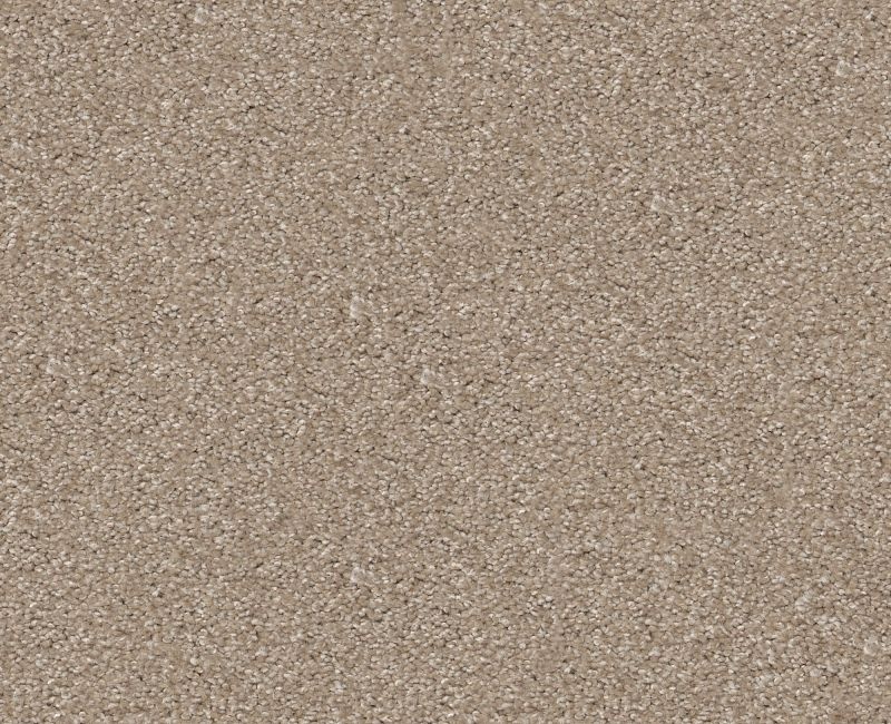Anso Open I (T) Doeskin Nylon Carpet - Textured