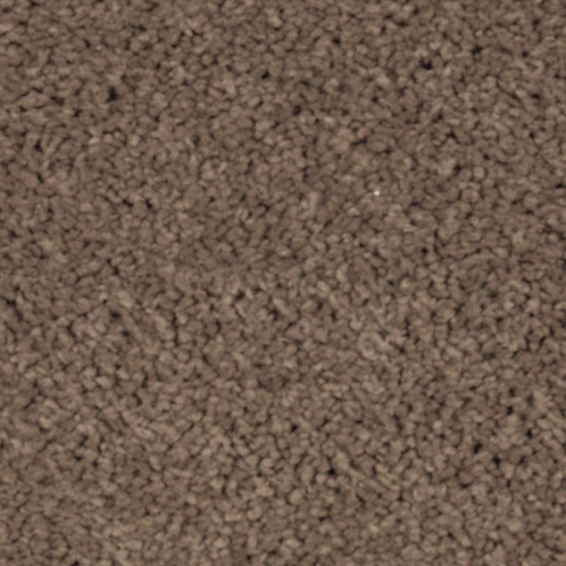 Natural Splendor Ii Rich Earth Triexta Carpet - Textured