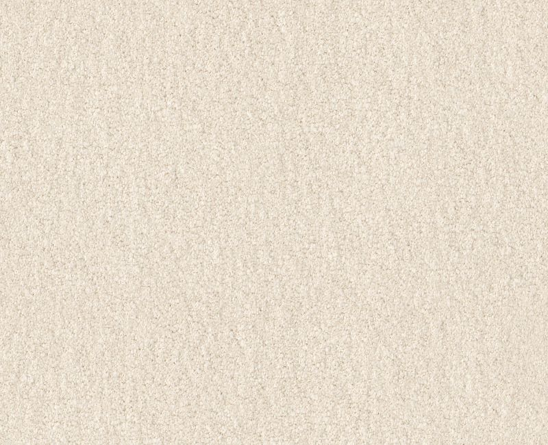 Magic Happens Pv Iii Alabaster Nylon Carpet - Textured