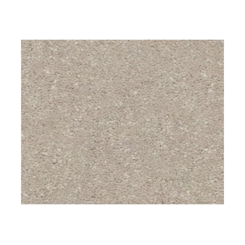 Bonny Doon Dreamy Polyester Carpet - Textured