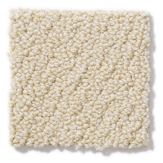 Pet Perfect On Point Mimosa Nylon Carpet - Loop