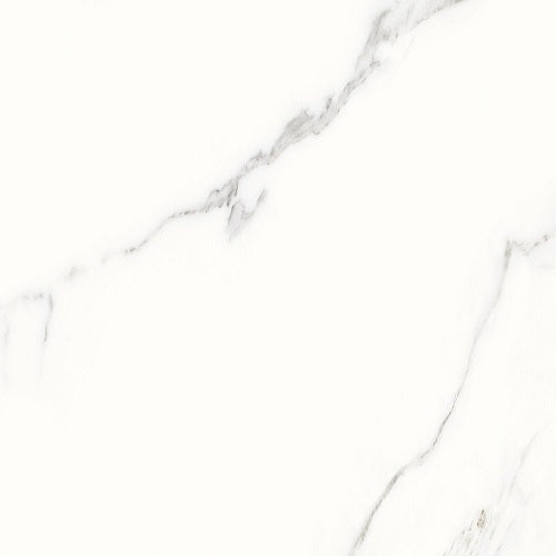 Calacatta White Porcelain Tile - Matte 12" x 24"