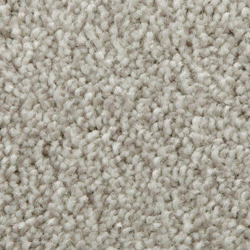 Distinct Beauty I Driftwood Polyester Carpet - Textured