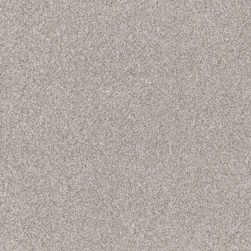 Pet Perfect Yes You Can Iii 12' Frozen Polyester Carpet - Textured