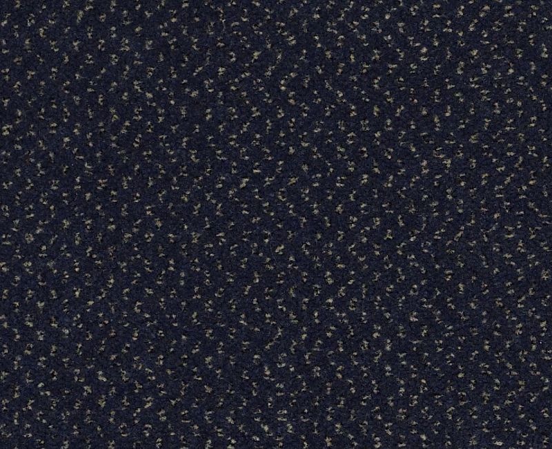Clearance Sale! Future Generations Dark Blue Nylon Carpet - Textured
