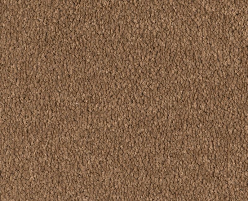 Before Dawn (S) Granola Nylon Carpet - Textured