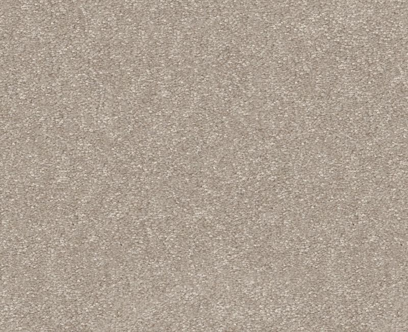 Pet Perfect Hard At Play Ii 15' Soft Sense Polyester Carpet - Textured