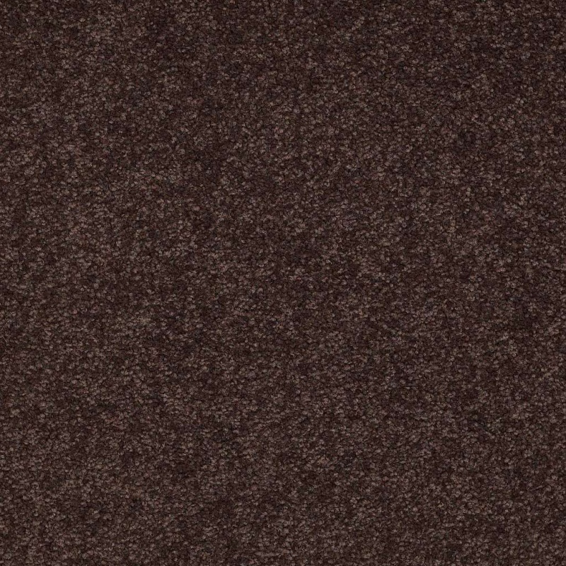 Magic At Last Iv 15' Dark Chocolate Nylon Carpet - Textured