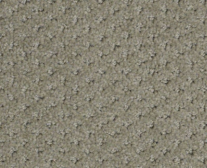 First Beginning Silver Sage Nylon Carpet - Pattern