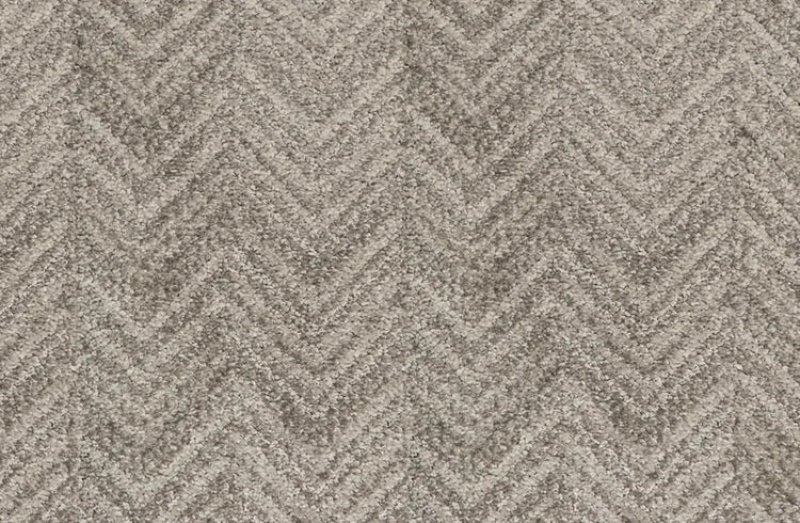 Pet Guard Morgan Alloy Solution Dyed Polyes Carpet - Loop
