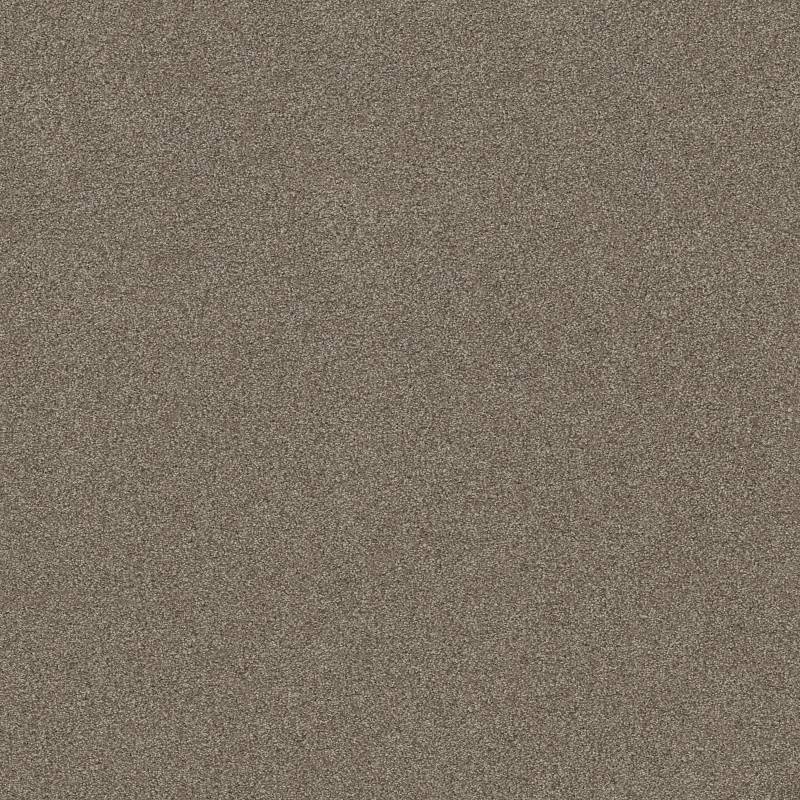 Anso Open I (S) Moccasin Nylon Carpet - Textured