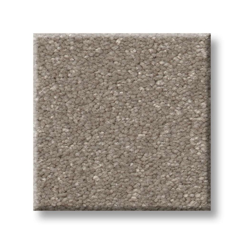 Pet Perfect Hard At Play I 12' Chic Greige Polyester Carpet - Textured