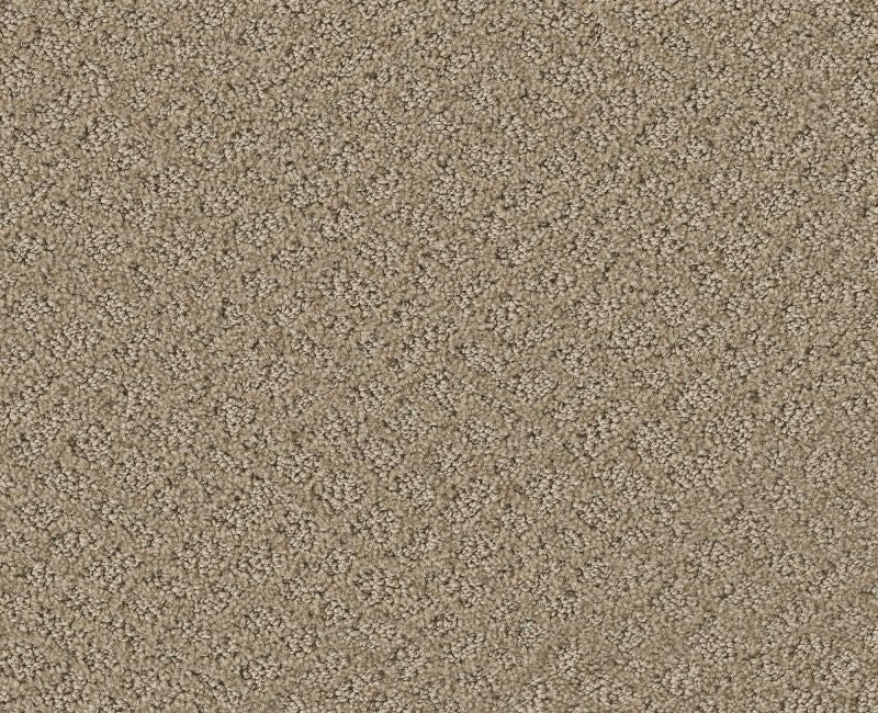 Mod Beauty Desert View Nylon Carpet - Loop