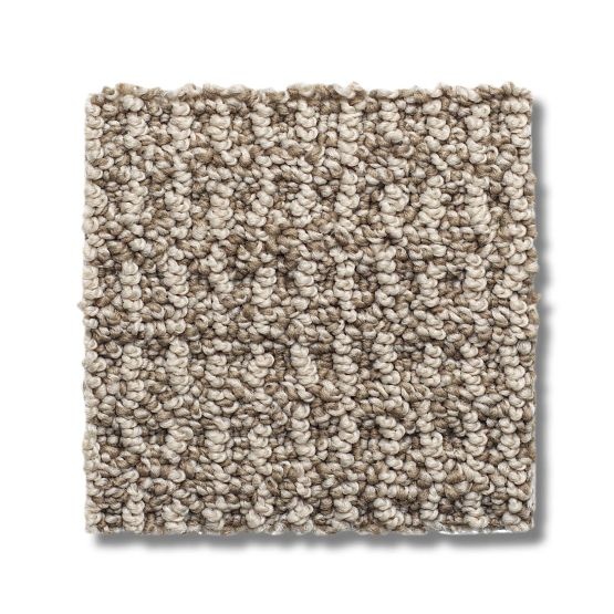 Classics Portofino Plaza Taupe Nylon Carpet - Loop