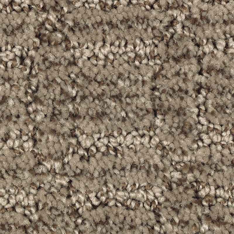 Refined Interest Bittersweet Polyester Carpet - Pattern