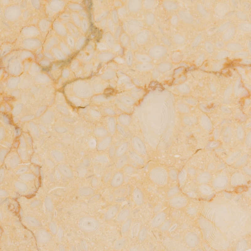Mediterranean Desert Limestone Tile - Polished