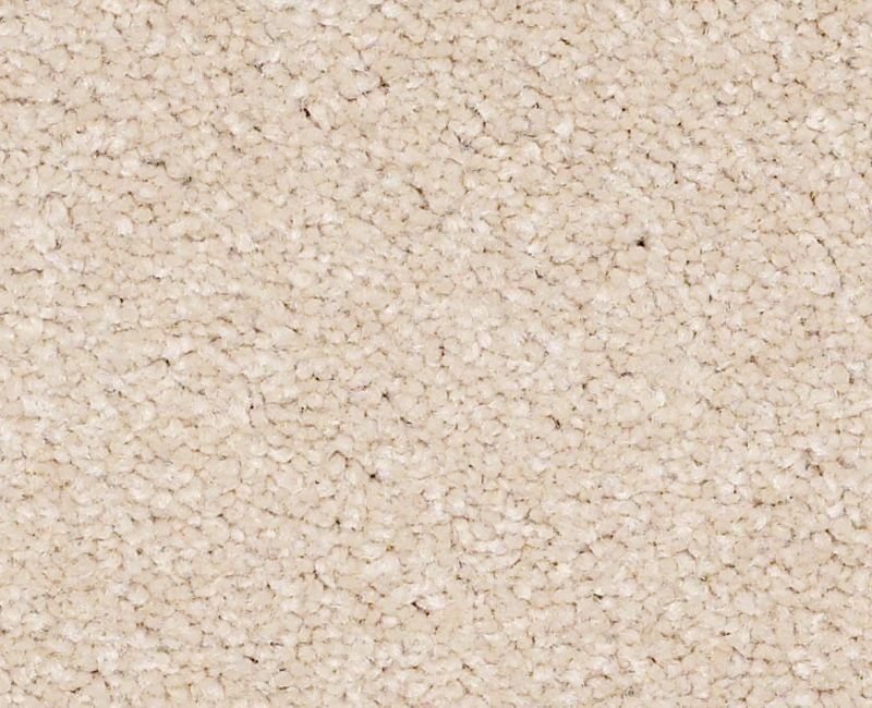 Bright Spirit II 15' Cashew Nylon Carpet - Textured