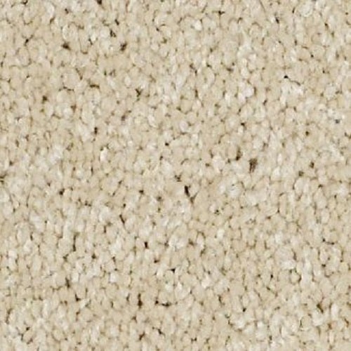 Izzy Fortune Cookie Nylon Carpet - Textured