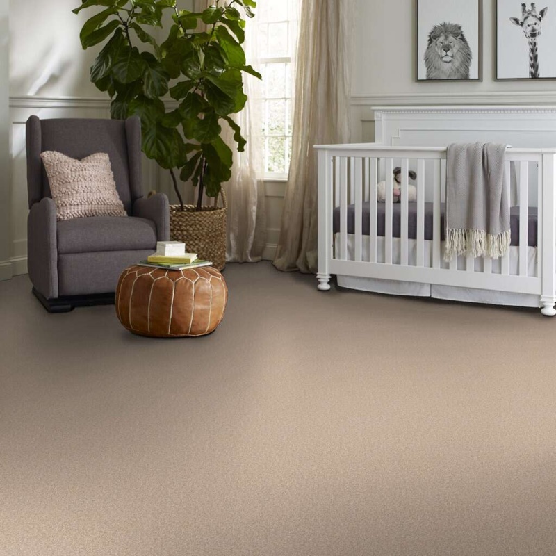 Magic At Last Iv 12 Shell Nylon Carpet - Textured
