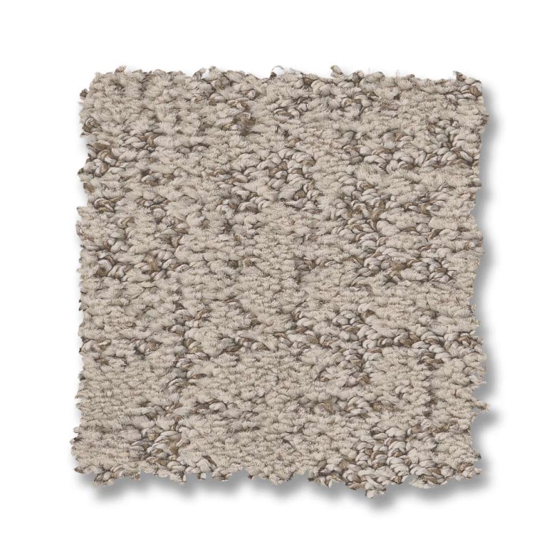 Pet Perfect Plus Home Within Soft Sense Polyester Carpet - Pattern