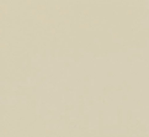 Bright & Matte Profiles Sand Dollar Ceramic Tile - Glossy - 3" X 6"