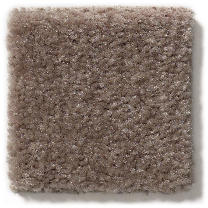 Heroic Chic Taupe Nylon Carpet - Textured