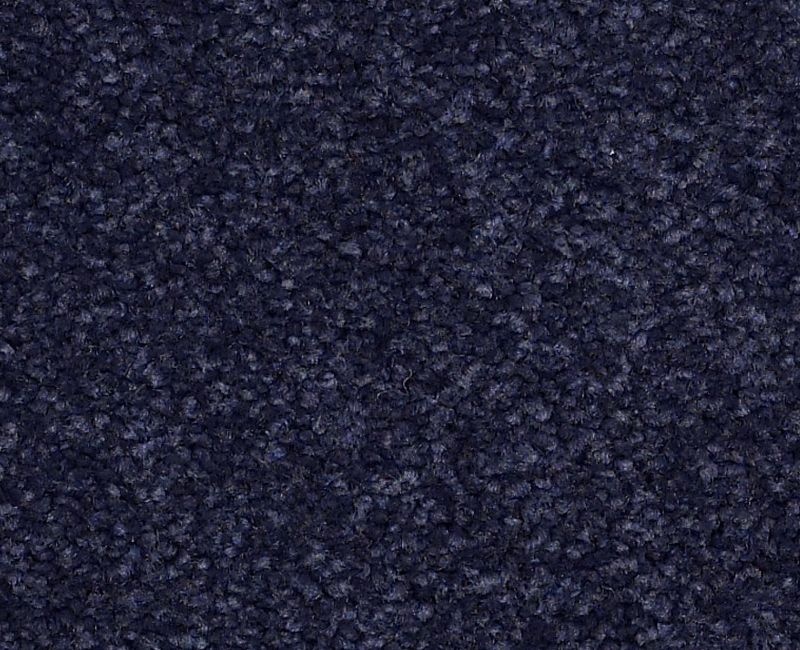 Magic Happens PV III Blue Ink Nylon Carpet - Textured