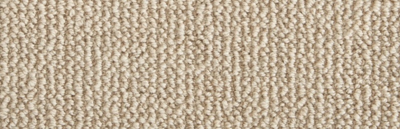 Natural Wonders Shawnee Pebble Wool Blend Carpet