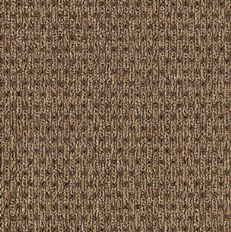 True Form Textural Beige Nylon Carpet - Loop