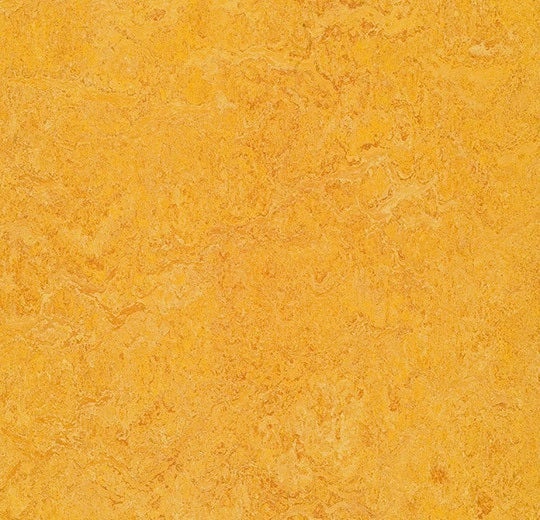 Marmoleum Decibel Dandelion Linoleum - Topshield Pro