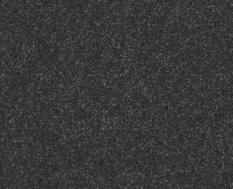 Pet Perfect Hard At Play II 15' Shadow Polyester Carpet