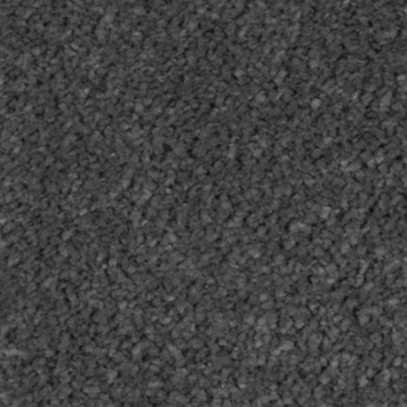 Natural Splendor Ii Deep Slate Triexta Carpet - Textured