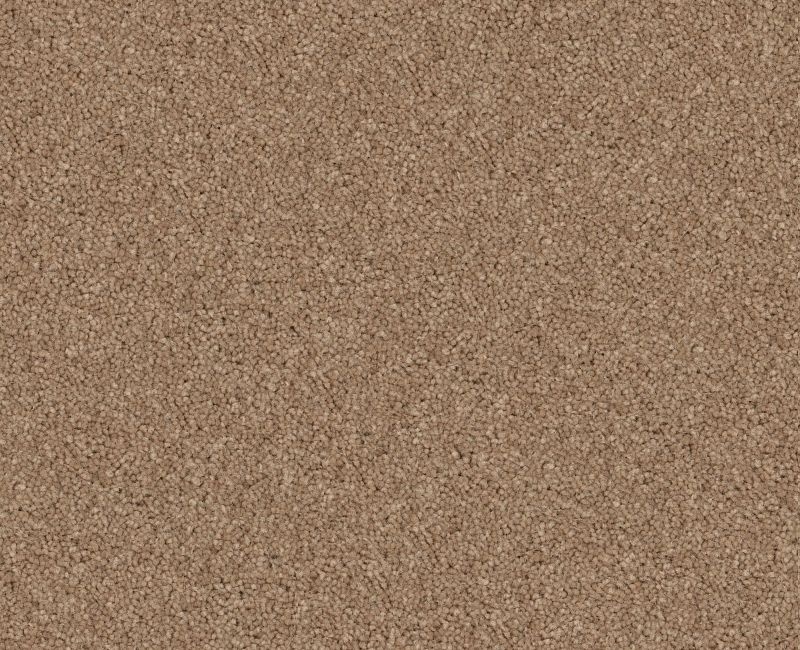 Nantucket Summer 12' Dusty Trail Polyester Carpet - Textured